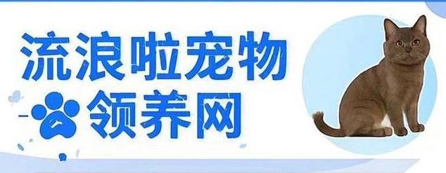 宠物网 国家工信部备案的宠物领养平台